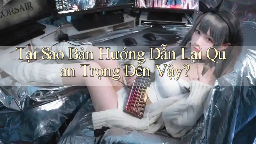 Tại Sao Bản Hướng Dẫn Lại Quan Trọng Đến Vậy?